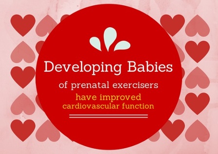 Developing Babies of prenatal exercisers have improved cardiovascular function